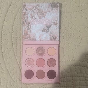 ColourPop Eyeshadow Palette - Soft Pink and Mauve Tones